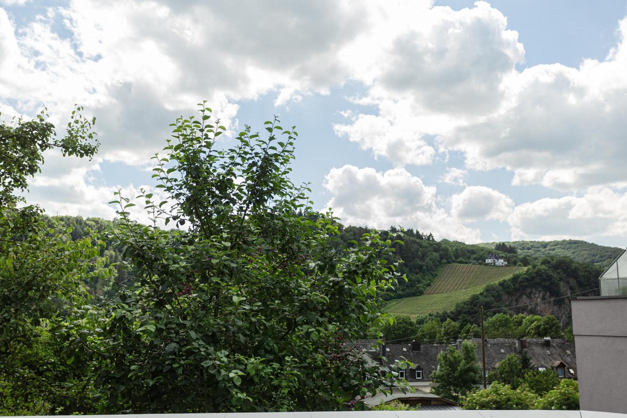 Luxusferienwohnung Moselruhe Bullay Mit Grosser Terrasse Und Schoenem Ausblick Εξωτερικό φωτογραφία